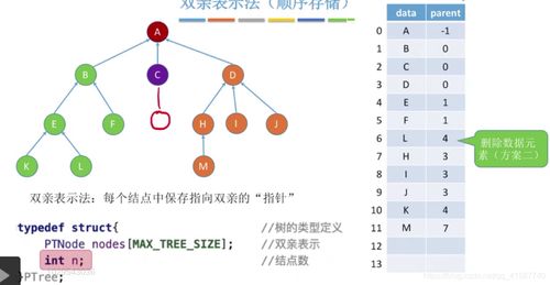 數(shù)據(jù)結(jié)構(gòu)之樹的存儲結(jié)構(gòu) 數(shù)據(jù)處理與存儲服務的基石